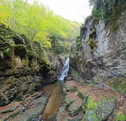 FB_IMG_1572930371230