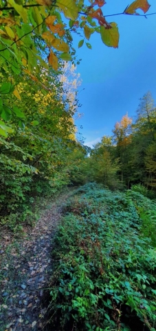 FB_IMG_1572930387749