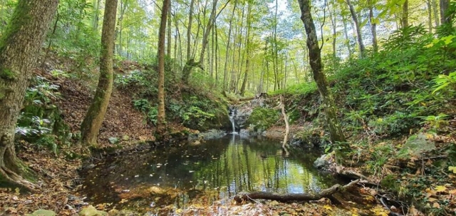 FB_IMG_1572930393215