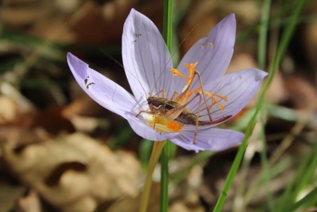 Zindandere Manzaralar 2