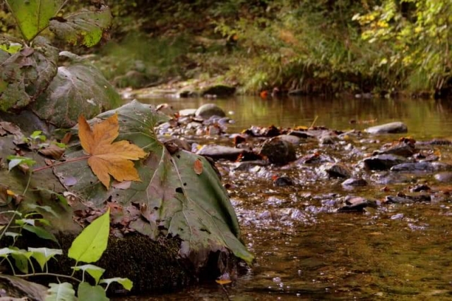 Zindandere Manzaralar