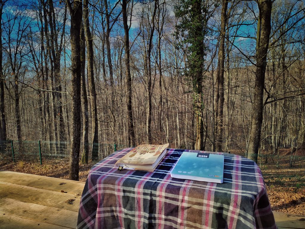 Ormanda Kitap Okumak