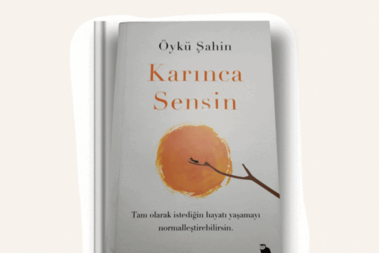 Karınca Sensin Öykü Şahin Kitap Özeti - Kitap Önerileri
