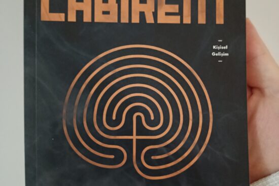 Labirent kitabının özeti