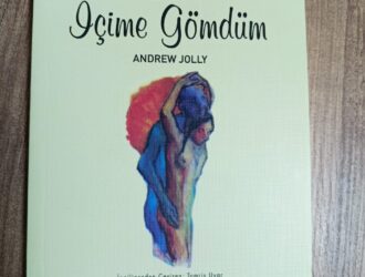 Seni İçime Gömdüm Kitap Kapağı
