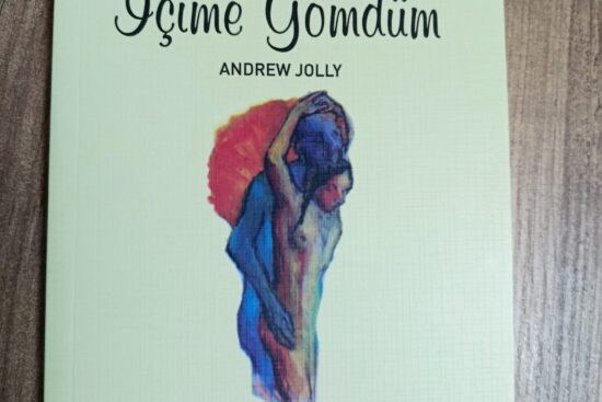 Seni İçime Gömdüm Kitap Kapağı