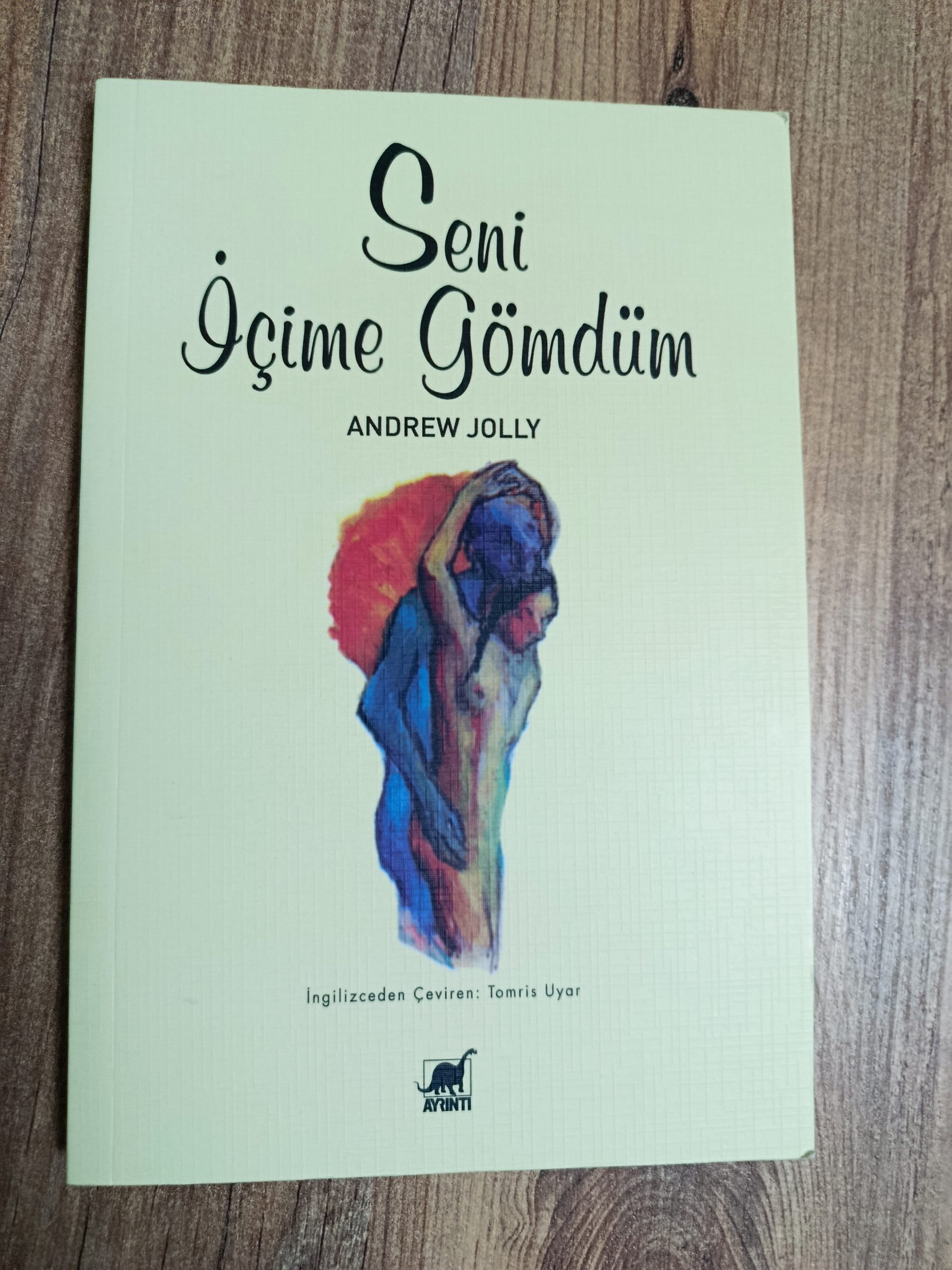 Seni İçime Gömdüm Kitap Kapağı